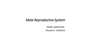 Male Reproductive System
NAME :AQIB KHAN
Discipline : SURGICAL
 