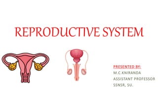 REPRODUCTIVE SYSTEM
PRESENTED BY:
M.C.KNIRANDA
ASSISTANT PROFESSOR
SSNSR, SU.
 