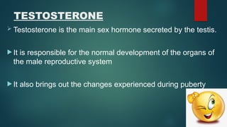 Testosterone Reproductive System SCIENCE 10- MALE REPRODUCTIVE SYSTEM.pptx