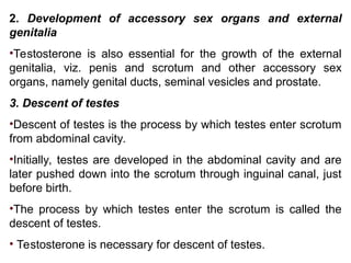 REPRODUCTIVE SYSTEM- MALE REPRODUCTIVE SYSTEM.ppt