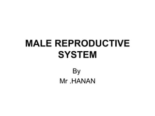 MALE REPRODUCTIVE
     SYSTEM
         By
     Mr .HANAN
 