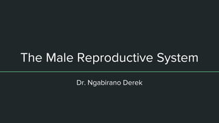The Male Reproductive System
Dr. Ngabirano Derek
 
