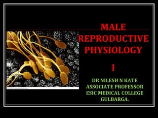 MALE
REPRODUCTIVE
PHYSIOLOGY
I
Dr. Nilesh Kate
(MBBS. MD)
DR NILESH N KATE
ASSOCIATE PROFESSOR
ESIC MEDICAL COLLEGE
GULBARGA.
 