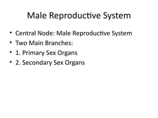 Male Reproductive System
• Central Node: Male Reproductive System
• Two Main Branches:
• 1. Primary Sex Organs
• 2. Secondary Sex Organs
 
