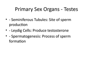 Primary Sex Organs - Testes
• - Seminiferous Tubules: Site of sperm
production
• - Leydig Cells: Produce testosterone
• - Spermatogenesis: Process of sperm
formation
 