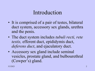 Introduction
• It is comprised of a pair of testes, bilateral
duct system, accessory sex glands, urethra
and the penis.
• The duct system includes tubuli recti, rete
testis, efferent duct, epididymis duct,
deferens duct, and ejaculatory duct.
• Accessory sex gland include seminal
vesicles, prostate gland, and bulbourethral
(Cowper’s) gland.
5/2/2023 2
 