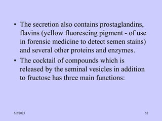 • The secretion also contains prostaglandins,
flavins (yellow fluorescing pigment - of use
in forensic medicine to detect semen stains)
and several other proteins and enzymes.
• The cocktail of compounds which is
released by the seminal vesicles in addition
to fructose has three main functions:
5/2/2023 52
 