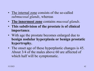 • The internal zone consists of the so-called
submucosal glands, whereas
• The innermost zone contains mucosal glands.
• This subdivision of the prostate is of clinical
importance.
• With age the prostate becomes enlarged due to
benign nodular hyperplasia or benign prostatic
hypertrophy.
• The onset age of these hyperplastic changes is 45.
About 3/4 of the males above 60 are affected of
which half will be symptomatic.
5/2/2023 62
 