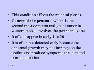 • This condition affects the mucosal glands.
• Cancer of the prostate, which is the
second most common malignant tumor in
western males, involves the peripheral zone.
• It affects approximately 1 in 20
• It is often not detected early because the
abnormal growth may not impinge on the
urethra and produce symptoms that demand
prompt attention
5/2/2023 63
 