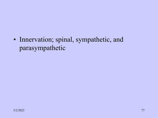 • Innervation; spinal, sympathetic, and
parasympathetic
5/2/2023 77
 