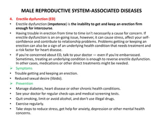 Male Reproductive System - Anatomy, Physiology and Pathology | PPTX