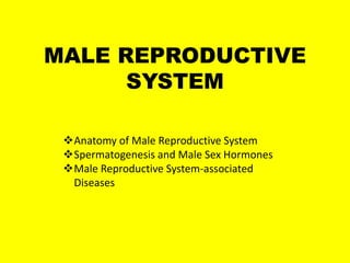 MALE REPRODUCTIVE
SYSTEM
Anatomy of Male Reproductive System
Spermatogenesis and Male Sex Hormones
Male Reproductive System-associated
Diseases
 