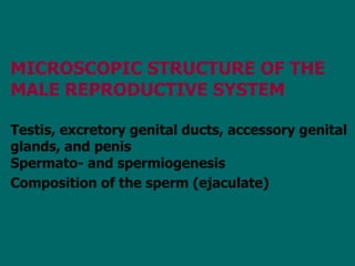 MICROSCOPIC STRUCTURE OF THE MALE REPRODUCTIVE SYSTEM Testis, excretory genital ducts, accessory genital glands, and penis Spermato- and spermiogenesis  Composition of the sperm (ejaculate)   