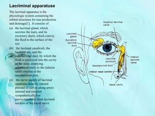 Lacriminal apparatuse
The lacrimal apparatus is the
physiologic system containing the
orbital structures for tear production
and drainage[1]. It consists of
(a) the lacrimal gland, which
secretes the tears, and its
excretory ducts, which convey
the fluid to the surface of the
eye
(b) the lacrimal canaliculi, the
lacrimal sac, and the
nasolacrimal duct, by which the
fluid is conveyed into the cavity
of the nose, emptying
anterioinferiorly to the inferior
nasal conchae at the
nasolacrimal duct.
(c) the nerve supply of lacrimal
apparatus done by carotid
plexuse of nerves along artery
internal and external
sympathetically but
parasympathetic from lacrimal
nucleus of the facial nerve
 