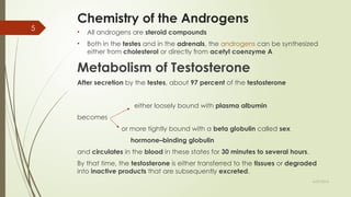 malesexhormones-161223055321.pptx anatomy | PPTX