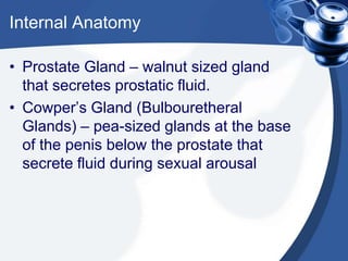 Internal Anatomy

• Prostate Gland – walnut sized gland
  that secretes prostatic fluid.
• Cowper’s Gland (Bulbouretheral
  Glands) – pea-sized glands at the base
  of the penis below the prostate that
  secrete fluid during sexual arousal
 