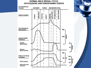 Male sexual anatomy, physiology and behaviour
