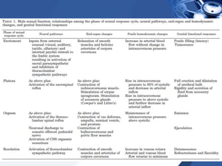 Male sexual anatomy, physiology and behaviour