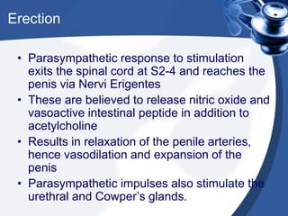 Erection

 • Parasympathetic response to stimulation
   exits the spinal cord at S2-4 and reaches the
   penis via Nervi Erigentes
 • These are believed to release nitric oxide and
   vasoactive intestinal peptide in addition to
   acetylcholine
 • Results in relaxation of the penile arteries,
   hence vasodilation and expansion of the
   penis
 • Parasympathetic impulses also stimulate the
   urethral and Cowper’s glands.
 