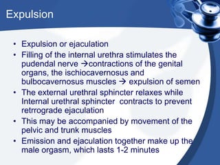 Expulsion

 • Expulsion or ejaculation
 • Filling of the internal urethra stimulates the
   pudendal nerve contractions of the genital
   organs, the ischiocavernosus and
   bulbocavernosus muscles  expulsion of semen
 • The external urethral sphincter relaxes while
   Internal urethral sphincter contracts to prevent
   retrrograde ejaculation
 • This may be accompanied by movement of the
   pelvic and trunk muscles
 • Emission and ejaculation together make up the
   male orgasm, which lasts 1-2 minutes
 