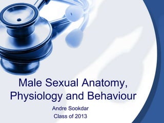 Male Sexual Anatomy,
Physiology and Behaviour
        Andre Sookdar
        Class of 2013
 