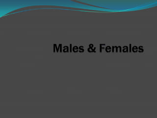 Males & females grade 7