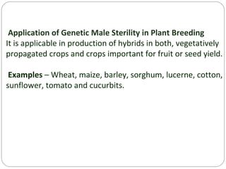 Application of Genetic Male Sterility in Plant Breeding
It is applicable in production of hybrids in both, vegetatively
propagated crops and crops important for fruit or seed yield.
Examples – Wheat, maize, barley, sorghum, lucerne, cotton,
sunflower, tomato and cucurbits.
 