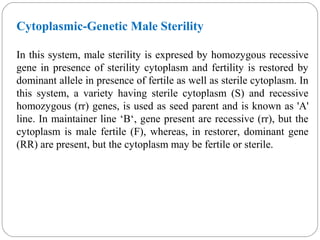 Cytoplasmic-Genetic Male Sterility
In this system, male sterility is expresed by homozygous recessive
gene in presence of sterility cytoplasm and fertility is restored by
dominant allele in presence of fertile as well as sterile cytoplasm. In
this system, a variety having sterile cytoplasm (S) and recessive
homozygous (rr) genes, is used as seed parent and is known as 'A'
line. In maintainer line ‘B‘, gene present are recessive (rr), but the
cytoplasm is male fertile (F), whereas, in restorer, dominant gene
(RR) are present, but the cytoplasm may be fertile or sterile.
 
