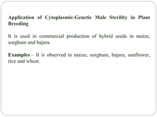 Application of Cytoplasmic-Genetic Male Sterility in Plant
Breeding
It is used in commercial production of hybrid seeds in maize,
sorghum and bajara.
Examples – It is observed in maize, sorghum, bajara, sunflower,
rice and wheat.
 