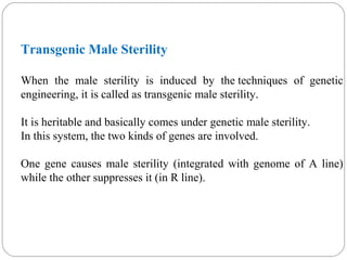 Transgenic Male Sterility
When the male sterility is induced by the techniques of genetic
engineering, it is called as transgenic male sterility.
It is heritable and basically comes under genetic male sterility.
In this system, the two kinds of genes are involved.
One gene causes male sterility (integrated with genome of A line)
while the other suppresses it (in R line).
 