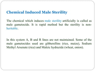 Chemical Induced Male Sterility
The chemical which induces male sterility artificially is called as
male gametocide. It is rapid method but the sterility is non-
heritable.
In this system A, B and R lines are not maintained. Some of the
male gametocides used are gibberellins (rice, maize), Sodium
Methyl Arsenate (rice) and Maleic hydrazide (wheat, onion).
 