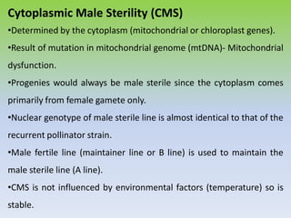 Cytoplasmic Male Sterility (CMS)
•Determined by the cytoplasm (mitochondrial or chloroplast genes).
•Result of mutation in mitochondrial genome (mtDNA)- Mitochondrial
dysfunction.
•Progenies would always be male sterile since the cytoplasm comes
primarily from female gamete only.
•Nuclear genotype of male sterile line is almost identical to that of the
recurrent pollinator strain.
•Male fertile line (maintainer line or B line) is used to maintain the
male sterile line (A line).
•CMS is not influenced by environmental factors (temperature) so is
stable.
 