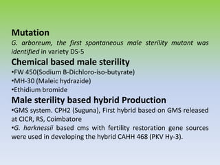Mutation
G. arboreum, the first spontaneous male sterility mutant was
identified in variety DS-5
Chemical based male sterility
•FW 450(Sodium B-Dichloro-iso-butyrate)
•MH-30 (Maleic hydrazide)
•Ethidium bromide
Male sterility based hybrid Production
•GMS system. CPH2 (Suguna), First hybrid based on GMS released
at CICR, RS, Coimbatore
•G. harknessii based cms with fertility restoration gene sources
were used in developing the hybrid CAHH 468 (PKV Hy-3).
 