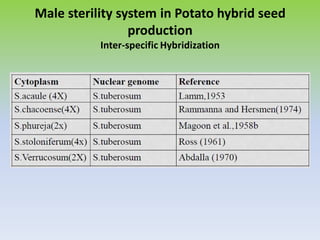 Male sterility system in Potato hybrid seed
production
Inter-specific Hybridization
 