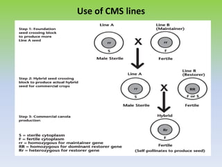Use of CMS lines
 