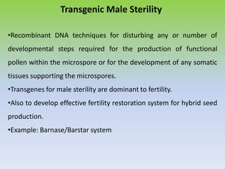 Transgenic Male Sterility
•Recombinant DNA techniques for disturbing any or number of
developmental steps required for the production of functional
pollen within the microspore or for the development of any somatic
tissues supporting the microspores.
•Transgenes for male sterility are dominant to fertility.
•Also to develop effective fertility restoration system for hybrid seed
production.
•Example: Barnase/Barstar system
 