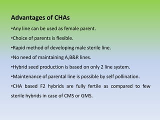 Advantages of CHAs
•Any line can be used as female parent.
•Choice of parents is flexible.
•Rapid method of developing male sterile line.
•No need of maintaining A,B&R lines.
•Hybrid seed production is based on only 2 line system.
•Maintenance of parental line is possible by self pollination.
•CHA based F2 hybrids are fully fertile as compared to few
sterile hybrids in case of CMS or GMS.
 