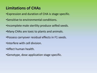 Limitations of CHAs
•Expression and duration of CHA is stage specific.
•Sensitive to environmental conditions.
•Incomplete male sterility produce selfed seeds.
•Many CHAs are toxic to plants and animals.
•Possess carryover residual effects in F1 seeds.
•Interfere with cell division.
•Affect human health.
•Genotype, dose application stage specific.
 