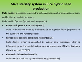 Male sterility system in Rice hybrid seed
production
Male sterility: a condition in which the pollen grain is unviable or cannot germinate
and fertilize normally to set seeds.
Male Sterility Systems (genetic and non-genetic):
• Cytoplasmic genetic male sterility (CMS)
Male sterility is controlled by the interaction of a genetic factor (S) present in
the cytoplasm and nuclear gene (s).
• Environment-sensitive genic male sterility (EGMS)
Male sterility system is controlled by nuclear gene expression, which is
influenced by environmental factors such as temperature (TGMS), daylength
(PGMS), or both (TPGMS).
• Chemically induced male sterility
Male sterility is induced by some chemicals (gametocides)
 