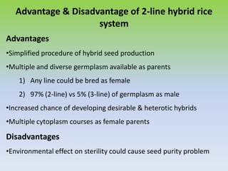 Advantage & Disadvantage of 2-line hybrid rice
system
Advantages
•Simplified procedure of hybrid seed production
•Multiple and diverse germplasm available as parents
1) Any line could be bred as female
2) 97% (2-line) vs 5% (3-line) of germplasm as male
•Increased chance of developing desirable & heterotic hybrids
•Multiple cytoplasm courses as female parents
Disadvantages
•Environmental effect on sterility could cause seed purity problem
 