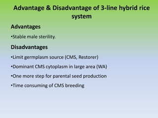 Advantage & Disadvantage of 3-line hybrid rice
system
Advantages
•Stable male sterility.
Disadvantages
•Limit germplasm source (CMS, Restorer)
•Dominant CMS cytoplasm in large area (WA)
•One more step for parental seed production
•Time consuming of CMS breeding
 
