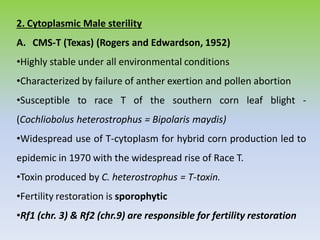 2. Cytoplasmic Male sterility
A. CMS-T (Texas) (Rogers and Edwardson, 1952)
•Highly stable under all environmental conditions
•Characterized by failure of anther exertion and pollen abortion
•Susceptible to race T of the southern corn leaf blight -
(Cochliobolus heterostrophus = Bipolaris maydis)
•Widespread use of T-cytoplasm for hybrid corn production led to
epidemic in 1970 with the widespread rise of Race T.
•Toxin produced by C. heterostrophus = T-toxin.
•Fertility restoration is sporophytic
•Rf1 (chr. 3) & Rf2 (chr.9) are responsible for fertility restoration
 