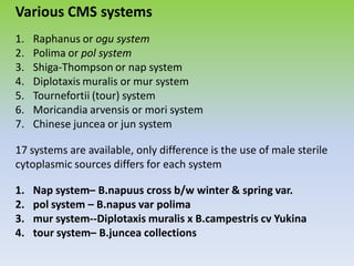 Various CMS systems
1. Raphanus or ogu system
2. Polima or pol system
3. Shiga-Thompson or nap system
4. Diplotaxis muralis or mur system
5. Tournefortii (tour) system
6. Moricandia arvensis or mori system
7. Chinese juncea or jun system
17 systems are available, only difference is the use of male sterile
cytoplasmic sources differs for each system
1. Nap system– B.napuus cross b/w winter & spring var.
2. pol system – B.napus var polima
3. mur system--Diplotaxis muralis x B.campestris cv Yukina
4. tour system– B.juncea collections
 