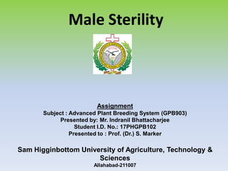 Assignment
Subject : Advanced Plant Breeding System (GPB903)
Presented by: Mr. Indranil Bhattacharjee
Student I.D. No.: 17PHGPB102
Presented to : Prof. (Dr.) S. Marker
Sam Higginbottom University of Agriculture, Technology &
Sciences
Allahabad-211007
Male Sterility
 