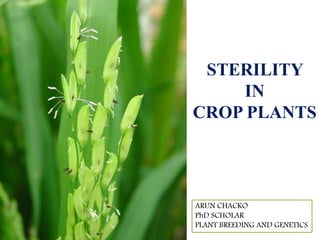 STERILITY
IN
CROP PLANTS
ARUN CHACKO
PhD SCHOLAR
PLANT BREEDING AND GENETICS
 