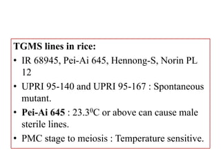 Male sterility in plants | PPTX
