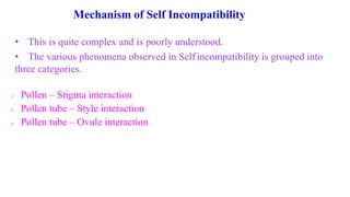 Mechanism of Self Incompatibility
• This is quite complex and is poorly understood.
• The various phenomena observed in Self incompatibility is grouped into
three categories.
1. Pollen – Stigma interaction
2. Pollen tube – Style interaction
3. Pollen tube – Ovule interaction
 