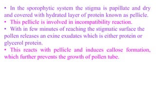 • In the sporophytic system the stigma is papillate and dry
and covered with hydrated layer of protein known as pellicle.
• This pellicle is involved in incompatibility reaction.
• With in few minutes of reaching the stigmatic surface the
pollen releases an exine exudates which is either protein or
glycerol protein.
• This reacts with pellicle and induces callose formation,
which further prevents the growth of pollen tube.
 