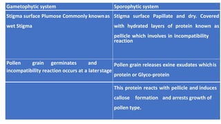 Gametophytic system Sporophytic system
Stigma surface Plumose Commonly knownas
wet Stigma
Stigma surface Papillate and dry. Covered
with hydrated layers of protein known as
pellicle which involves in incompatibility
reaction
Pollen grain germinates and
incompatibility reaction occurs at a laterstage
Pollen grain releases exine exudates whichis
protein or Glyco-protein
This protein reacts with pellicle and induces
callose formation and arrests growth of
pollen type.
 