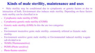 Kinds of male sterility, maintenance and uses
• Male sterility may be conditioned due to cytoplasmic or genetic factors or due to
interaction of both. Environment also induces male sterility. Depending on these factors
male sterility can be classified in to
 Cytoplasmic male sterility (CMS)
 Cytoplasmic-genetic male sterility (CGMS)
 Genetic male sterility (GMS) In this the are two categories
are :
 Environment insensitive genic male sterility- commonly referred as Genetic male
sterility.
 Environment sensitive genic male sterility or Environmental induced sterility isagain
sub divided in to
 TGMS (Thermosensitive)
 PGMS (Photo sensitive)
 Photo thermo sensitive
 